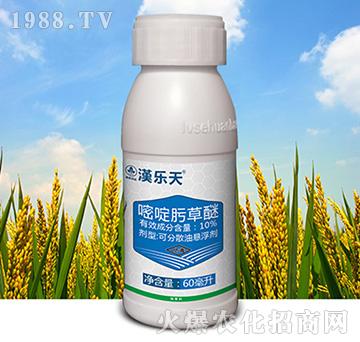 10%���뿲���-�h����-�к����_