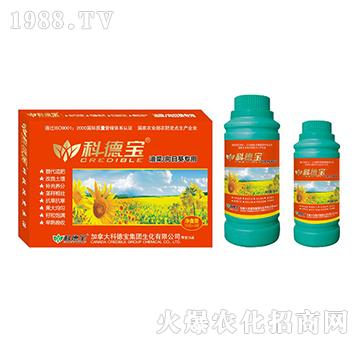 �Ͳˡ����տ����àI�B(y��ng)���a(ch��n)�{(di��o)�턩-�Ƶ�