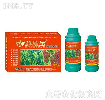 ���������ӌ��àI�B(y��ng)���a(ch��n)