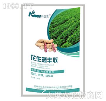 �������S��-���~�r(n��ng)