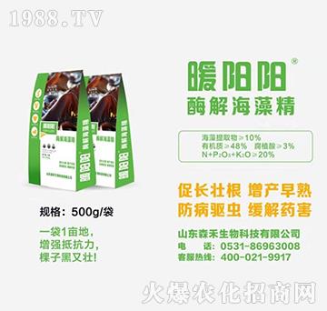 ø�⺣�徧-ů��-ɭ������