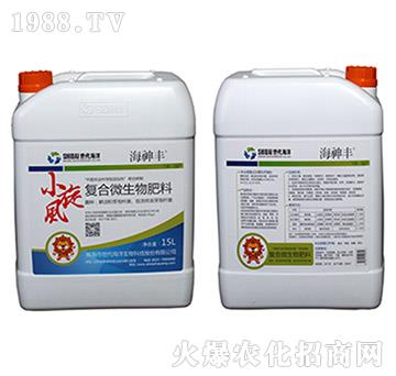 �ͺϷ�΢�������-С��