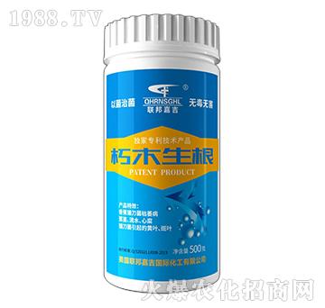 ��ľ����-(li��n)��μ�