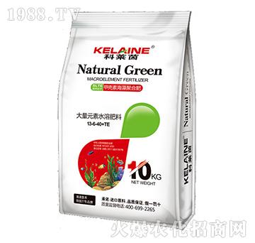 ����Ԫ��ˮ�ܷ���13-6-40+TE-���R��-�W���r�I(y��)