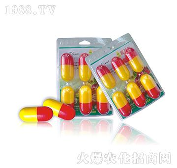 ֲ��˄���-�W��ɭ