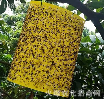 ճ�x��-�����S