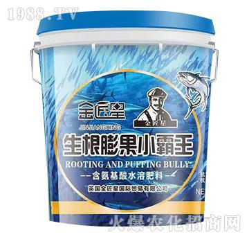 �������С����-����