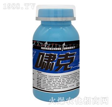 �[��-���_��