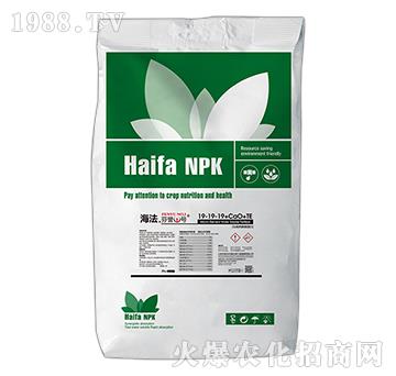 ���������u(y��)1̖(h��o)19-19-CaO+TE-������