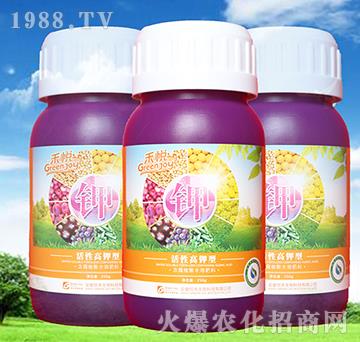 ���Ը�⛷�-��������