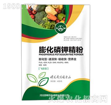 ����⛾���-���