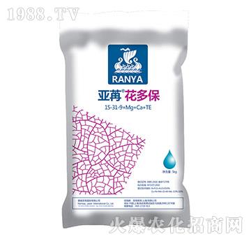 ���ۻ��ౣ-���ۇ��H