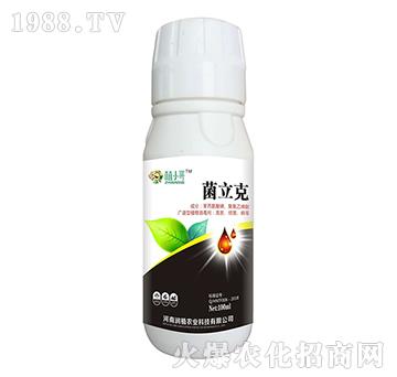 ������-ֲС��-��(r��n)ֲ