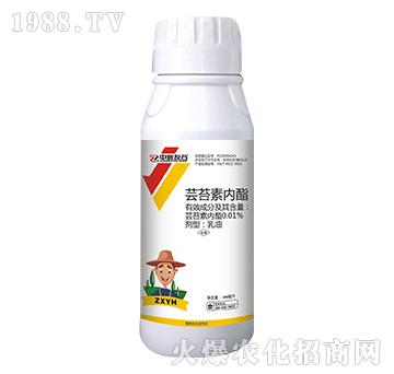 �|̦�؃�(n��i)��-�����Ѻ�