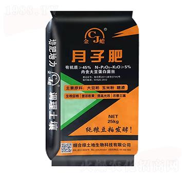 ���ӷ�-���-�G����