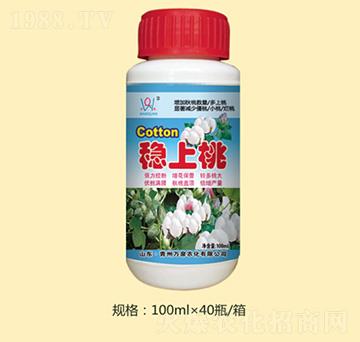 ��(w��n)����-�fȪ�r��