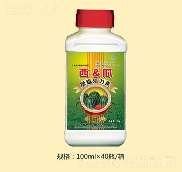 �������������-�fȪ�r(n��ng)��