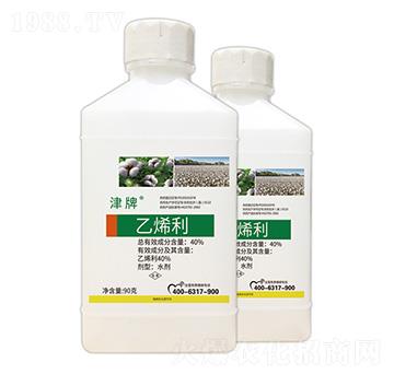 40%��ϩ��-����-��������