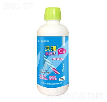 �Ҹ��}-�ֲ�-���r˼�_