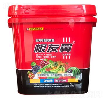 ������-���r˼�_