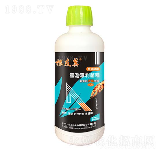 1000g������-���r˼�_1