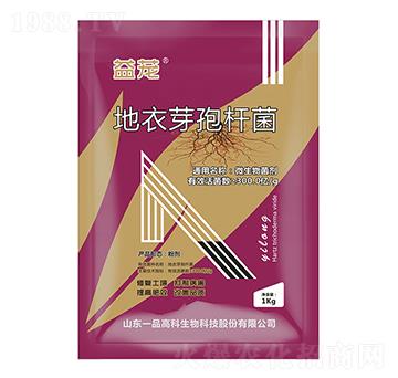 ����ѿ�ߗU��-���d-���r˼�_