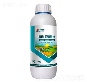 �������0-520-340-ֲ��-�̩