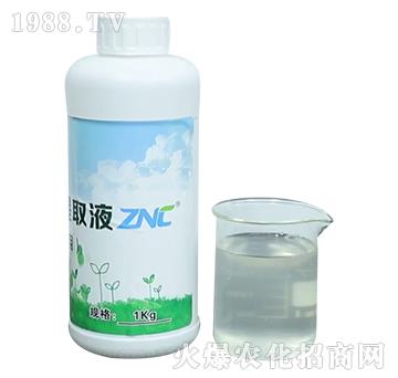 ZNC��N��(zhu��n)����-�����