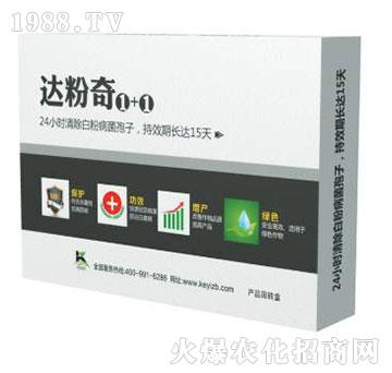 �_����1+1-����ֲ��