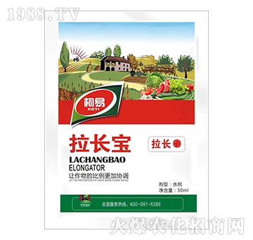 ���L(zh��ng)��-����ֲ��