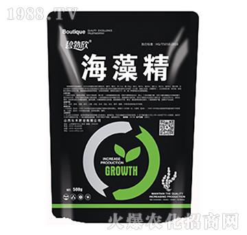 ���徫-����