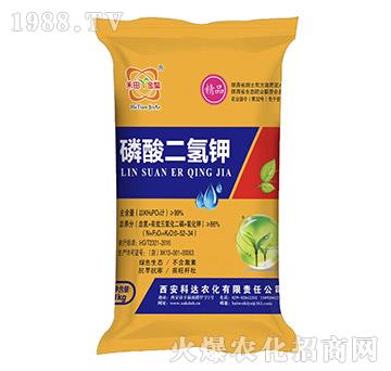 ��Ʒ��������-���_(d��)�r(n��ng)��