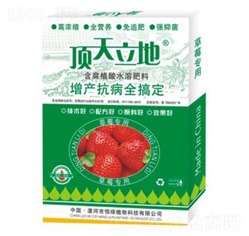 ��ݮ��(zhu��n)�ú���ֲ��ˮ�ܷ���-�������-��Gֲ��