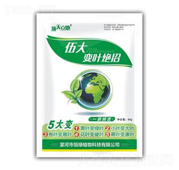 ���׃�~�^��-�������-��Gֲ��