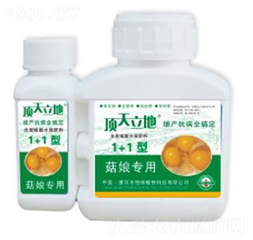 ���(zhu��n)�ú���ֲ��ˮ�ܷ��ϣ�1+1�ͣ�-�������-��Gֲ��