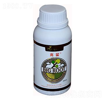 ����-��������