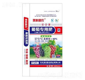 ���ь�(zhu��n)�Ó������20-