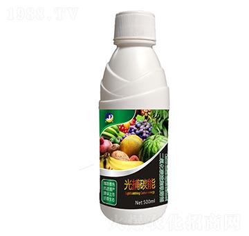 ������̼����������-�Ⲷ̼��-���_