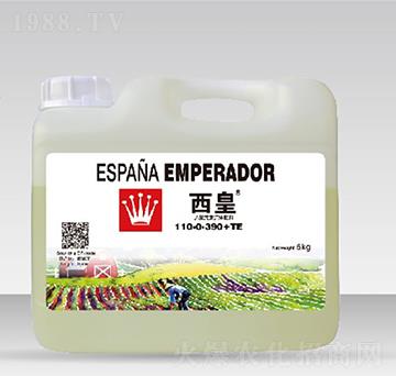 ����Ԫ�����w��110-