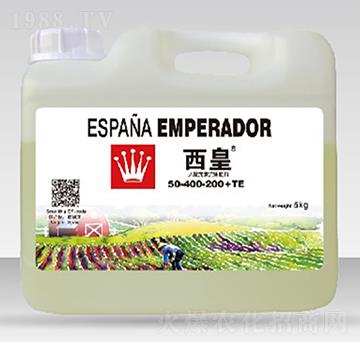 ����Ԫ�����w��50-4