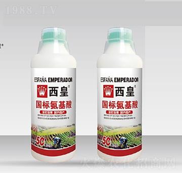 ��(gu��)��(bi��o)������-����-����