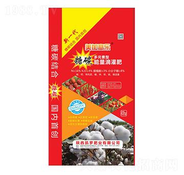 ��̼�����ι��-���Ӹߘ�-�P�_�ʘI(y��)