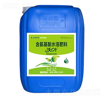 ����͸��������w��-���~-����ʩ