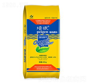 �ЙC����-�����r(n��ng)�I(y��)