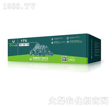 ����Ԫ��ˮ�ܷ���19-19-19-���_��-��Դ�V�a