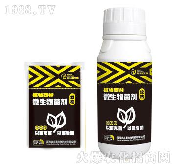 �y�݌�(zhu��n)��΢�������-ֲ������-������