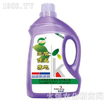 �������L�B(y��ng)��-����������