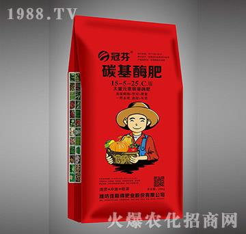 ̼��ø��15-5-25+C+TE-�ڷ�