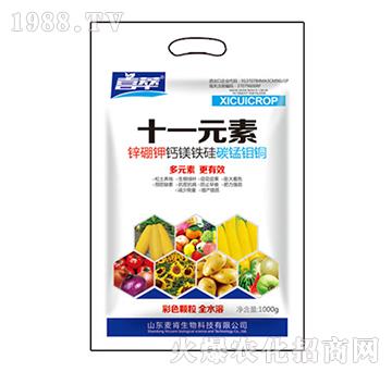 ʮһԪ��-��������