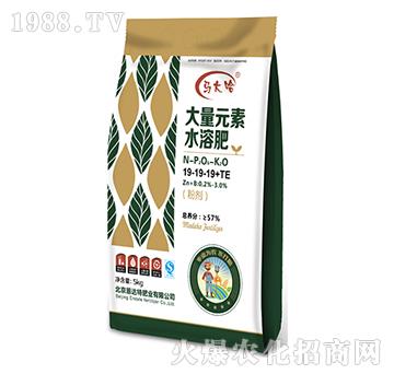 ����Ԫ��ˮ�ܷ�19-1